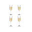 Rocco 65